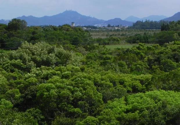 imagem sugerida: vista aerea de loteamento vazio dentro de area de mata preservada, lotes demarcados sem nenhuma construcao, cercados por ve